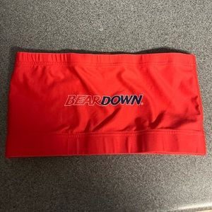 University of Arizona bandeau